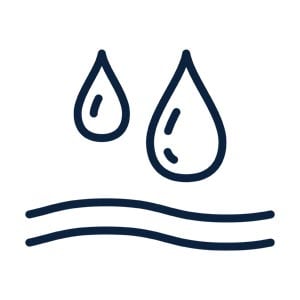 Icono decorativo