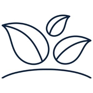 Icono decorativo